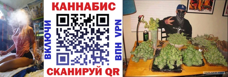 Где можно купить наркотики Белая Холуница СОЛЬ  Псилоцибиновые грибы  Гашиш  Мефедрон  АМФЕТАМИН 