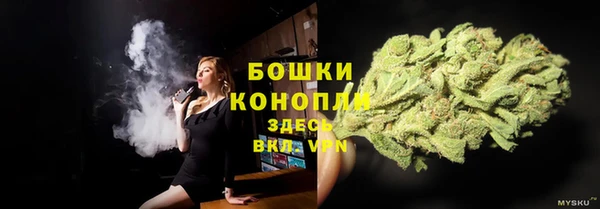 бошки Осинники