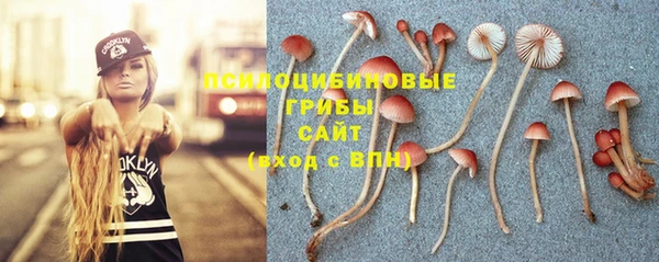 PSILOCYBIN Остров