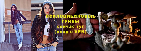 бошки Осинники