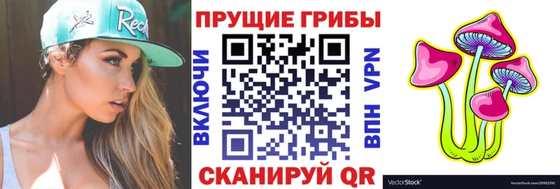 Галлюциногенные грибы Psilocybe  Белая Холуница 